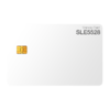 SLE5528 Chipkarte